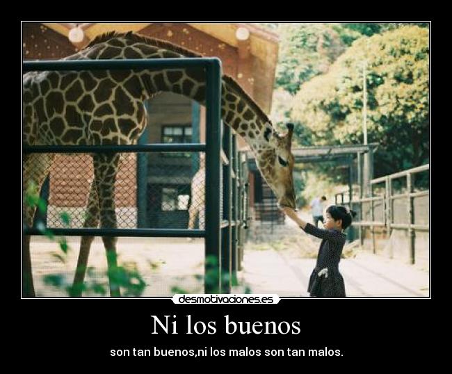 Ni los buenos - son tan buenos,ni los malos son tan malos.