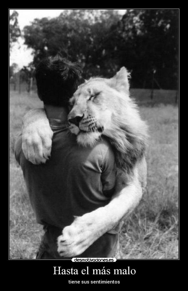 Hasta el más malo - tiene sus sentimientos