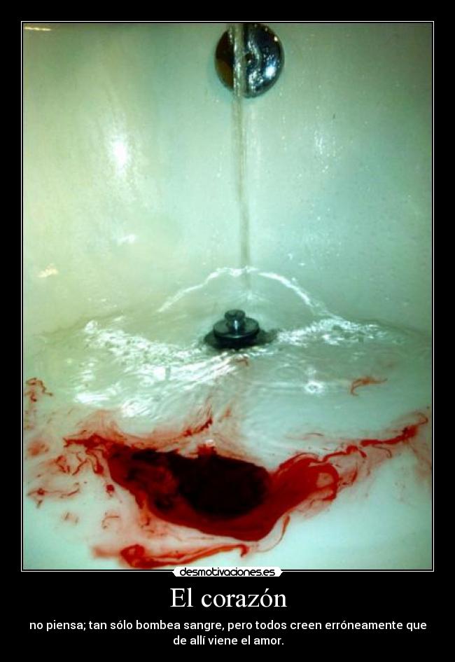 carteles corazon polly wants cracker think should get off her first desmotivaciones