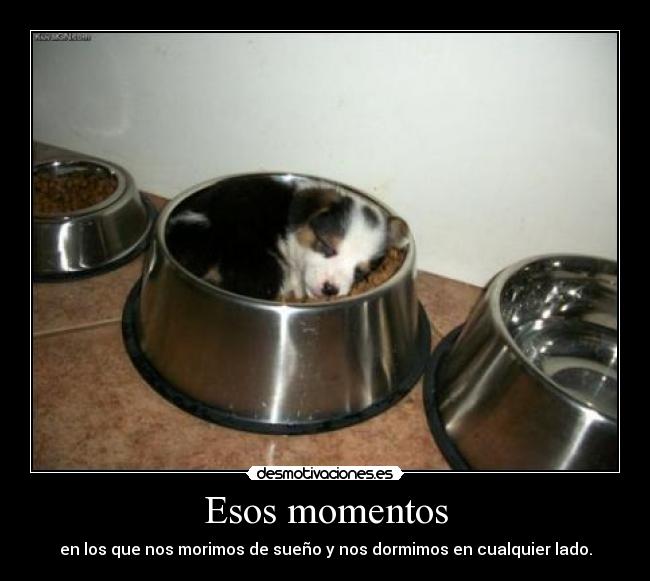 Esos momentos - en los que nos morimos de sueño y nos dormimos en cualquier lado.
