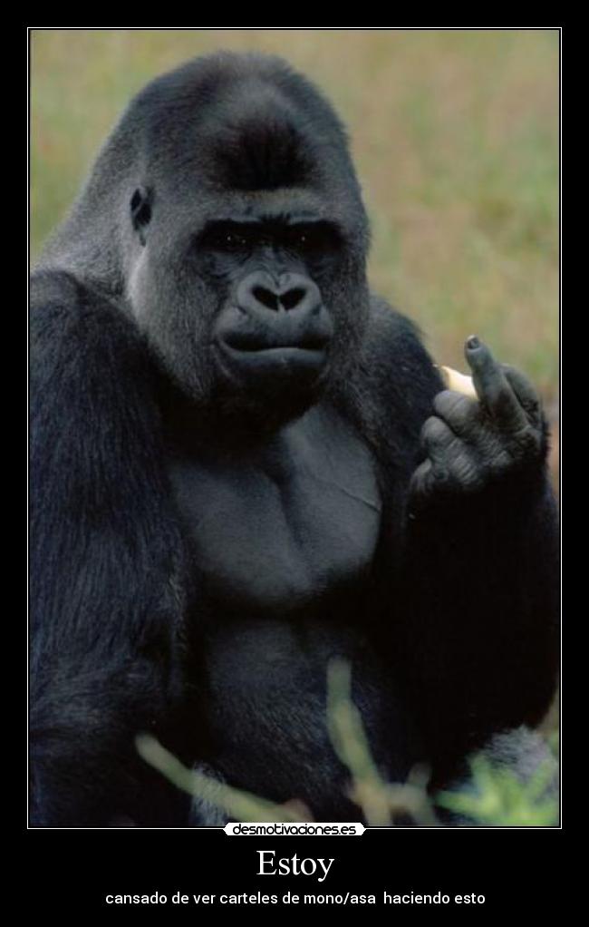 Estoy - cansado de ver carteles de mono/asa haciendo esto