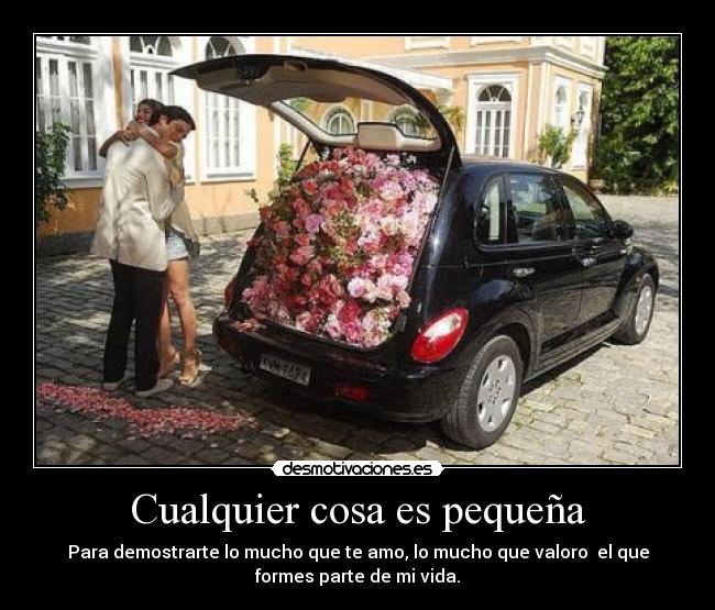 Cualquier cosa es pequeña - 
