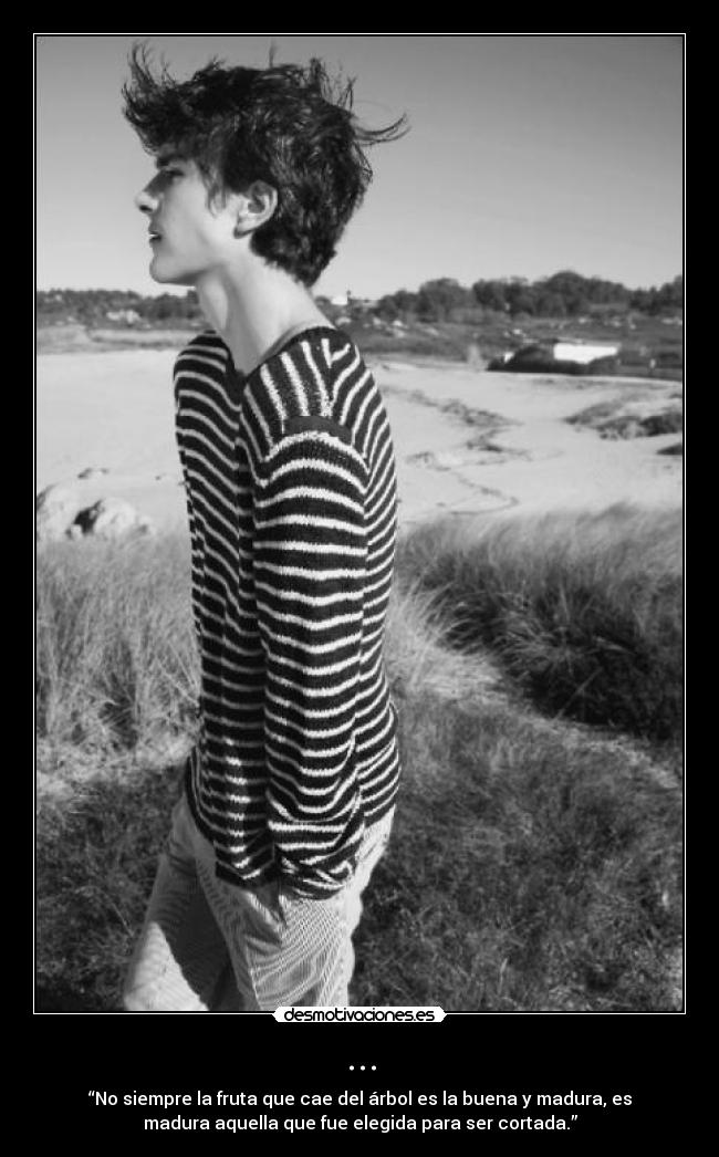 ... - “No siempre la fruta que cae del árbol es la buena y madura, es
madura aquella que fue elegida para ser cortada.”