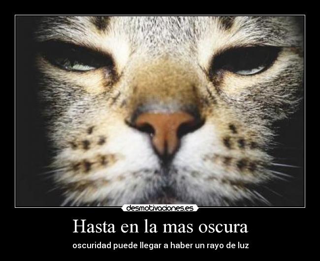 Hasta en la mas oscura - 