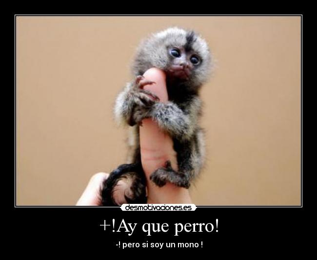 carteles inversa desmotivaciones