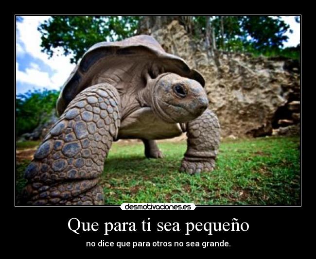 Que para ti sea pequeño - 