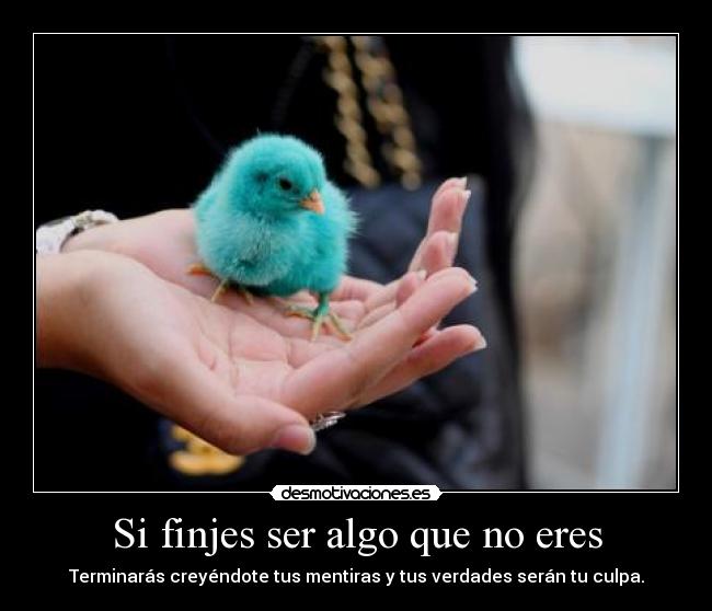 carteles patito amarillo finje ser azul okno desmotivaciones