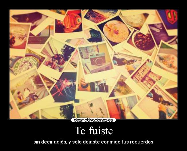 Te fuiste - sin decir adiós, y solo dejaste conmigo tus recuerdos.