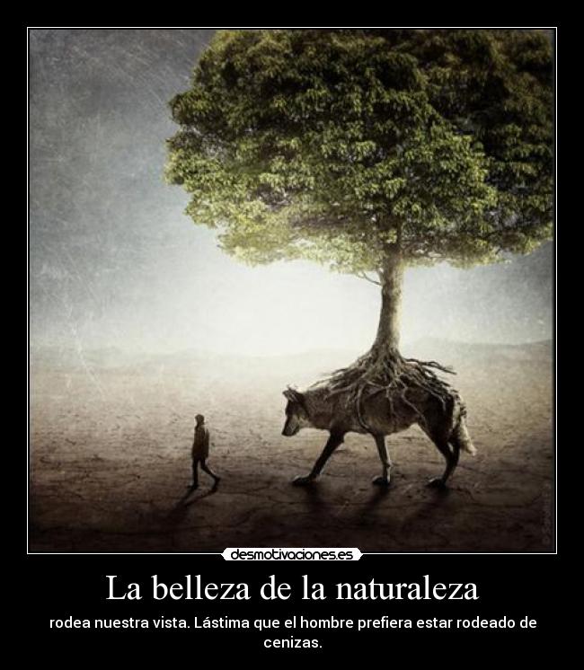 La belleza de la naturaleza -