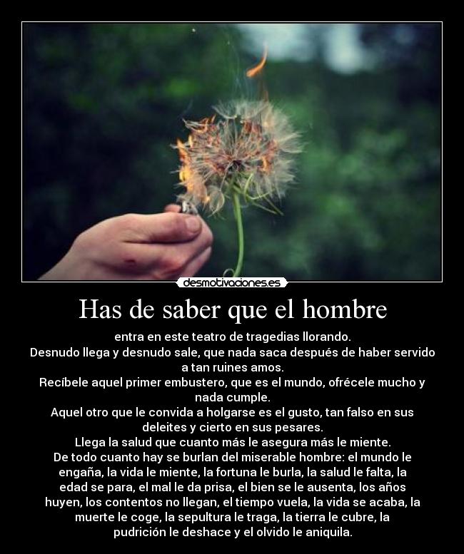 Has de saber que el hombre - entra en este teatro de tragedias llorando.
Desnudo llega y desnudo sale, que nada saca después de haber servido
a tan ruines amos.
Recíbele aquel primer embustero, que es el mundo, ofrécele mucho y
nada cumple.
Aquel otro que le convida a holgarse es el gusto, tan falso en sus
deleites y cierto en sus pesares.
Llega la salud que cuanto más le asegura más le miente.
De todo cuanto hay se burlan del miserable hombre: el mundo le
engaña, la vida le miente, la fortuna le burla, la salud le falta, la
edad se para, el mal le da prisa, el bien se le ausenta, los años
huyen, los contentos no llegan, el tiempo vuela, la vida se acaba, la
muerte le coge, la sepultura le traga, la tierra le cubre, la
pudrición le deshace y el olvido le aniquila.