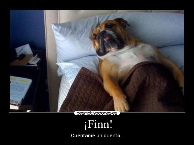 ¡Finn! - 