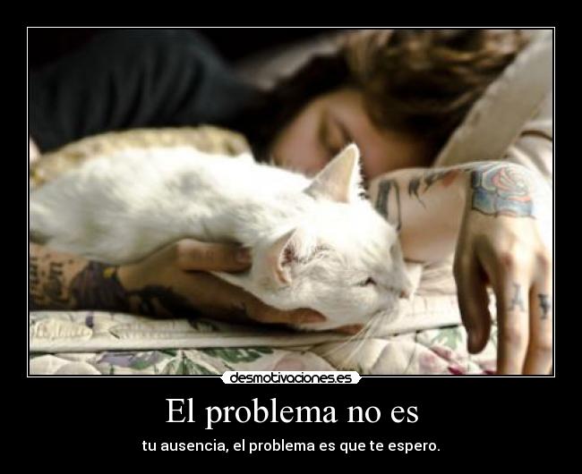 carteles puntossuspensivos desmotivaciones