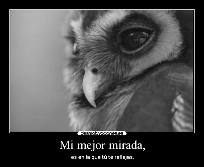 Mi mejor mirada, -