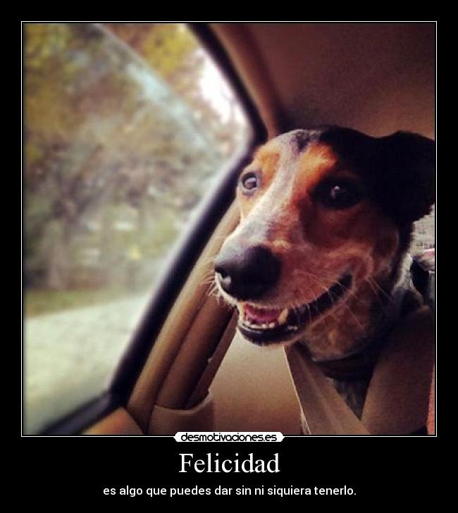 Felicidad - es algo que puedes dar sin ni siquiera tenerlo.