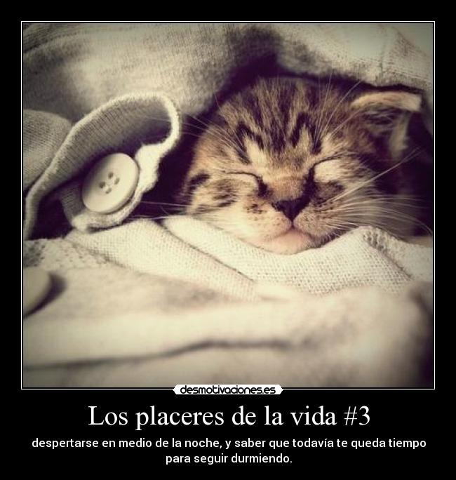 Los placeres de la vida #3 -