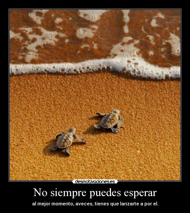 No siempre puedes esperar - al mejor momento, aveces, tienes que lanzarte a por el.