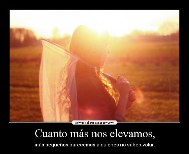 Cuanto más nos elevamos, - más pequeños parecemos a quienes no saben volar.