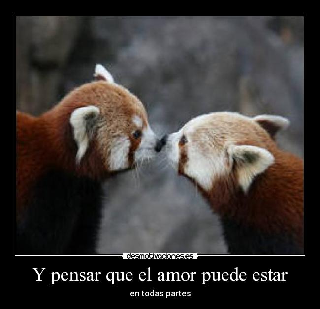 Y pensar que el amor puede estar - 