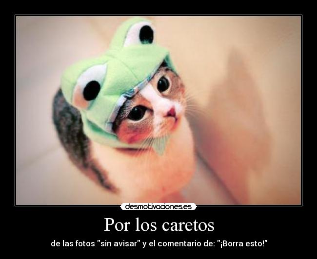 carteles filopac caretos desmotivaciones