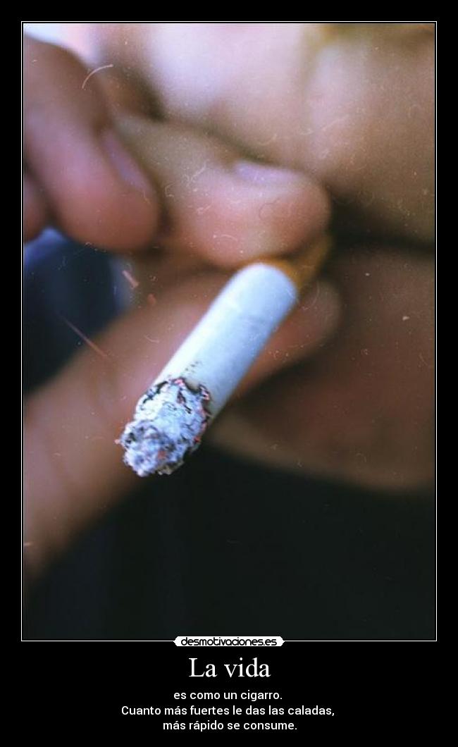 La vida - es como un cigarro.
Cuanto más fuertes le das las caladas,
más rápido se consume.