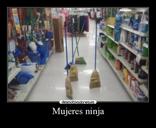Mujeres ninja - 