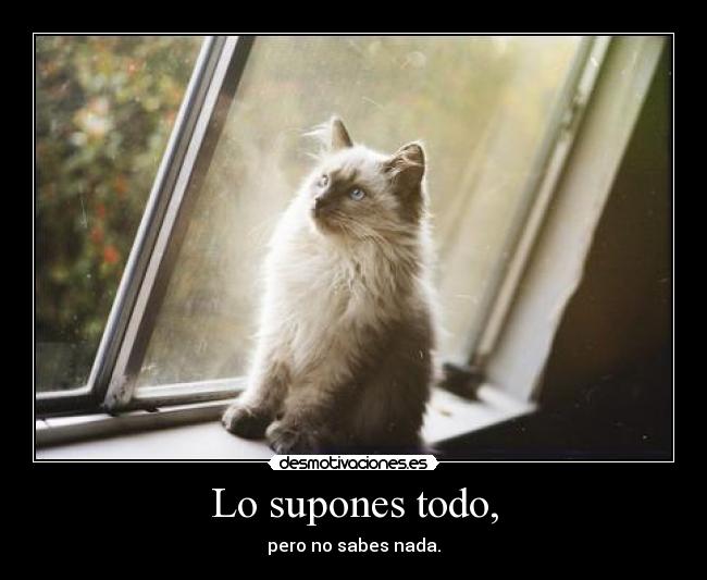 Lo supones todo, - pero no sabes nada.