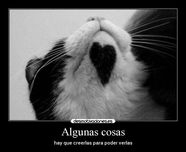 Algunas cosas - hay que creerlas para poder verlas