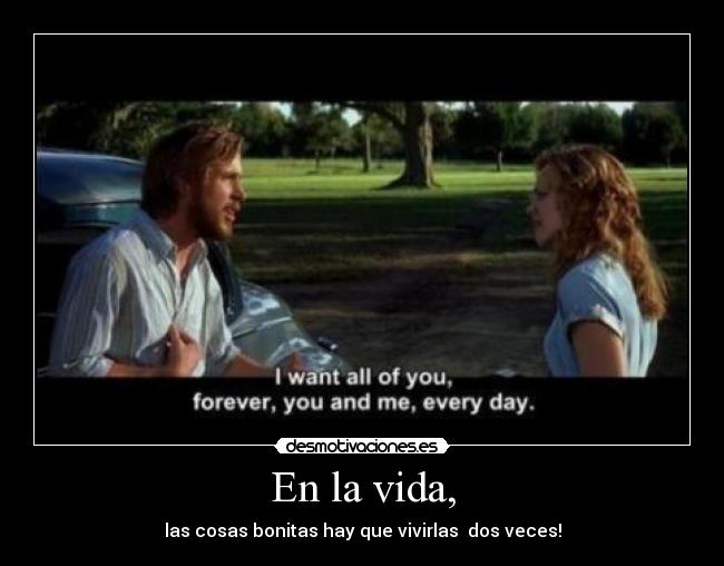 carteles vida the notebook desmotivaciones