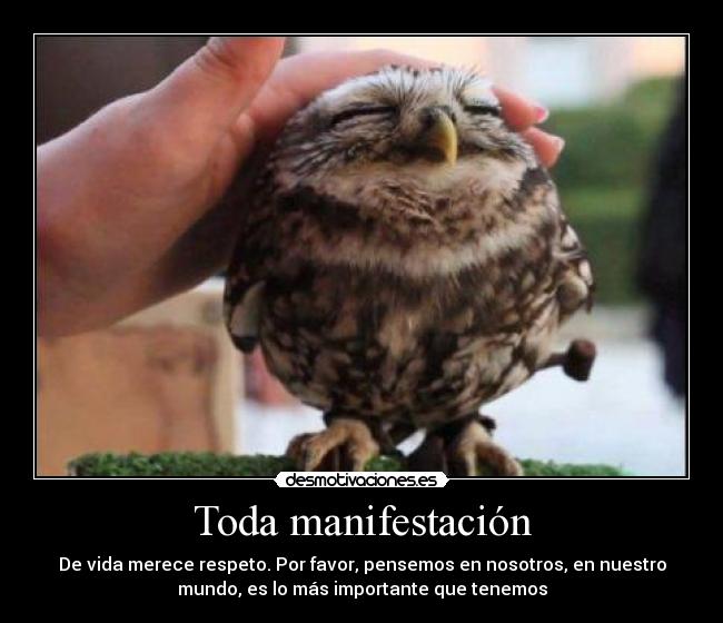 Toda manifestación -