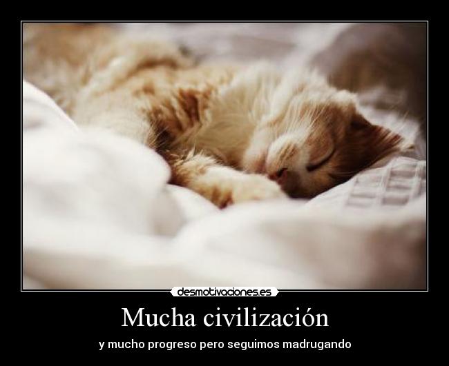 Mucha civilización - y mucho progreso pero seguimos madrugando