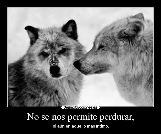 No se nos permite perdurar, -