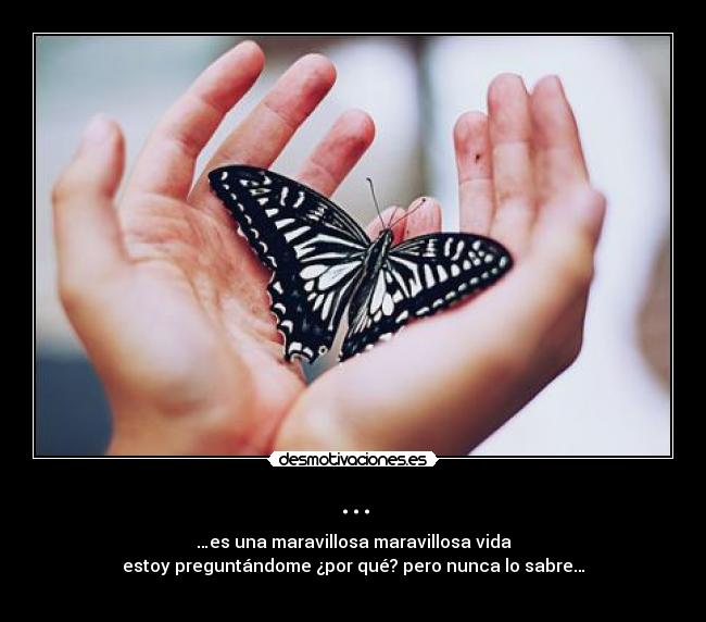 ... - …es una maravillosa maravillosa vida
estoy preguntándome ¿por qué? pero nunca lo sabre…
♪ ♫