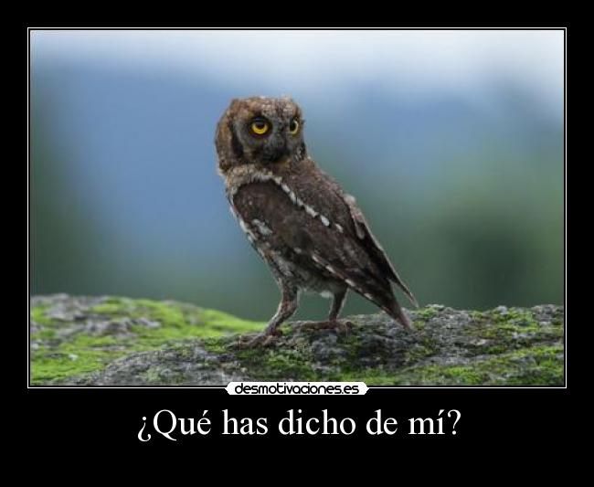 carteles davor safth 123 clandesplazado veo como hermano asusta con juego desmotivaciones