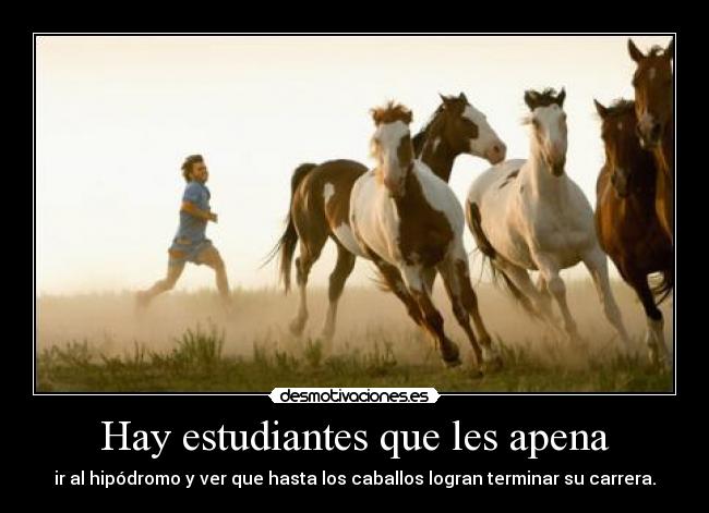 Hay estudiantes que les apena - ir al hipódromo y ver que hasta los caballos logran terminar su carrera.