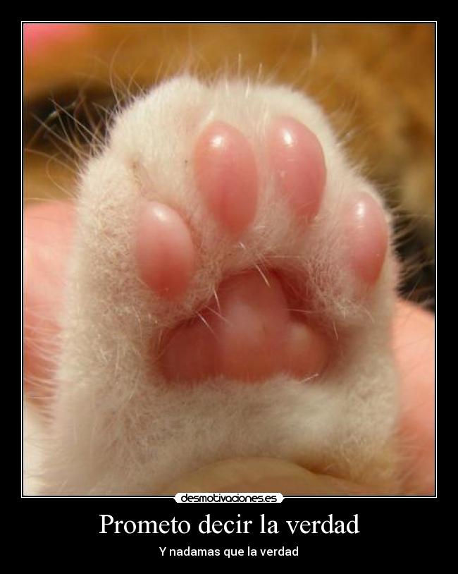 carteles prometo decir verdad desmotivaciones