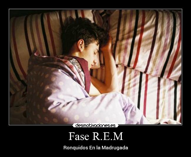 Fase R.E.M - Ronquidos En la Madrugada