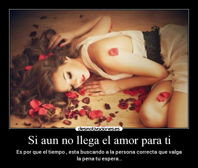 Si aun no llega el amor para ti -