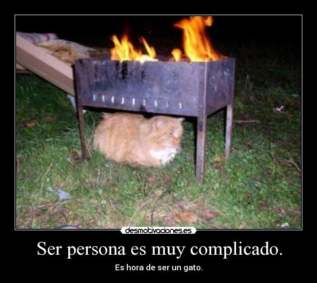 Ser persona es muy complicado. - Es hora de ser un gato.