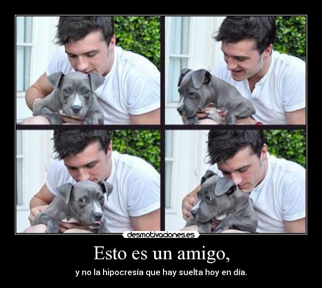 Esto es un amigo, -