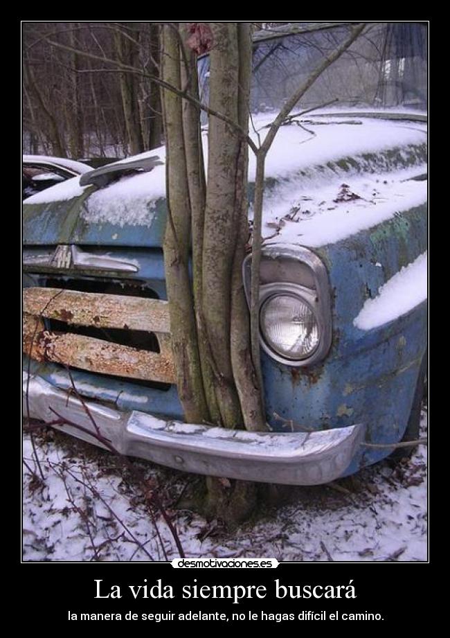 La vida siempre buscará -