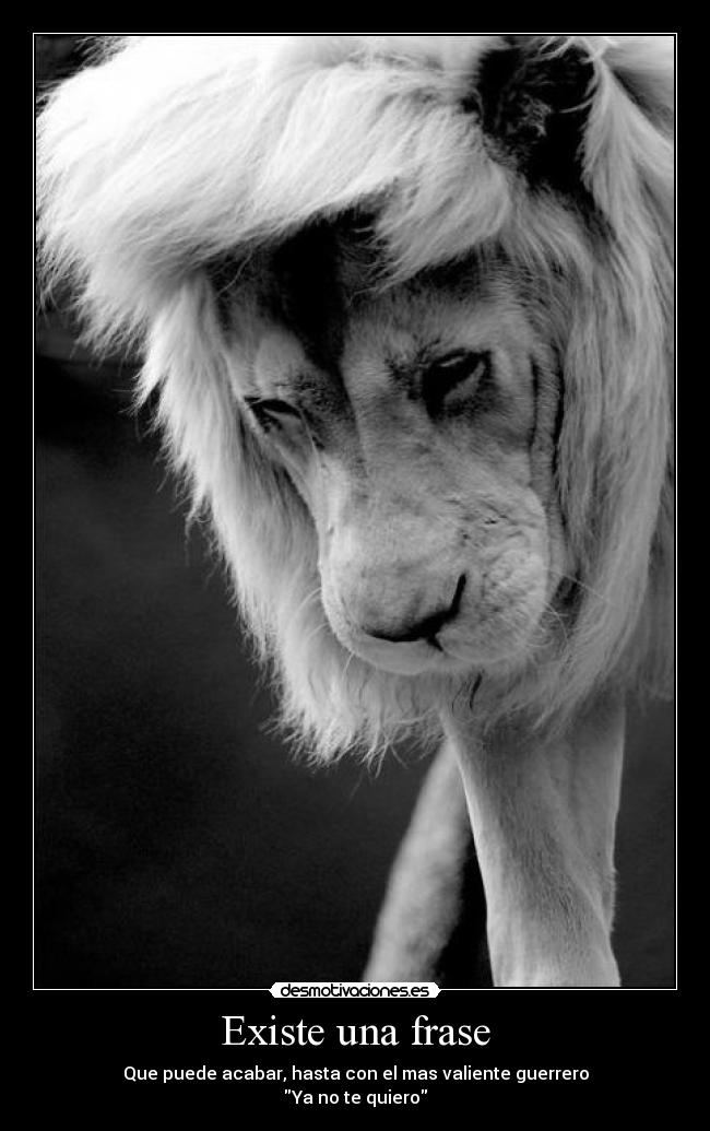 Existe una frase - Que puede acabar, hasta con el mas valiente guerrero
Ya no te quiero