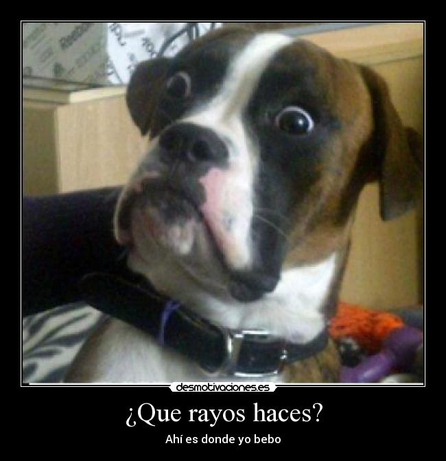 ¿Que rayos haces? - 