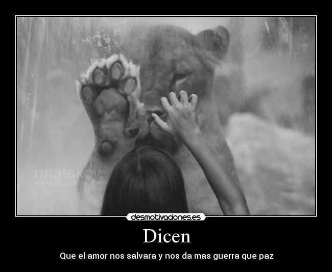 Dicen - Que el amor nos salvara y nos da mas guerra que paz