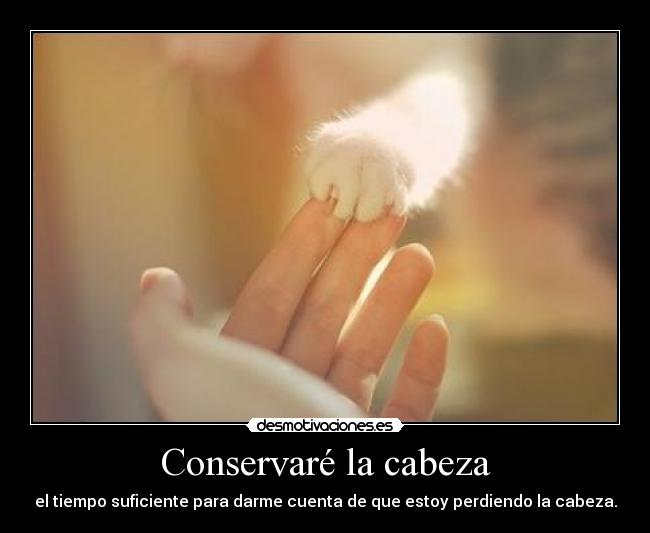 Conservaré la cabeza - 