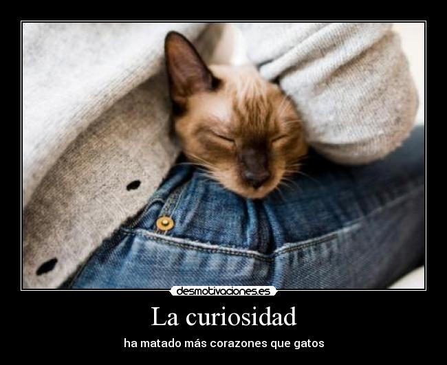 La curiosidad -