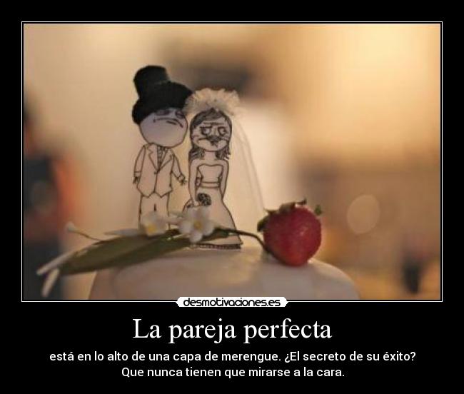 La pareja perfecta - 