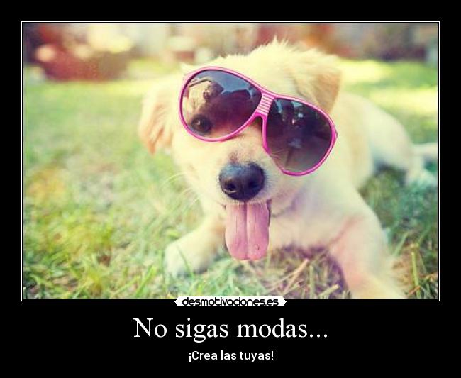 No sigas modas... - ¡Crea las tuyas!