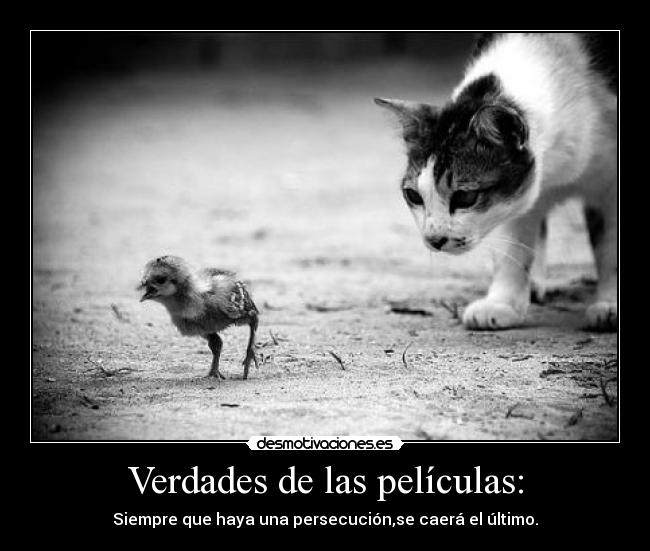 carteles asd desmotivaciones