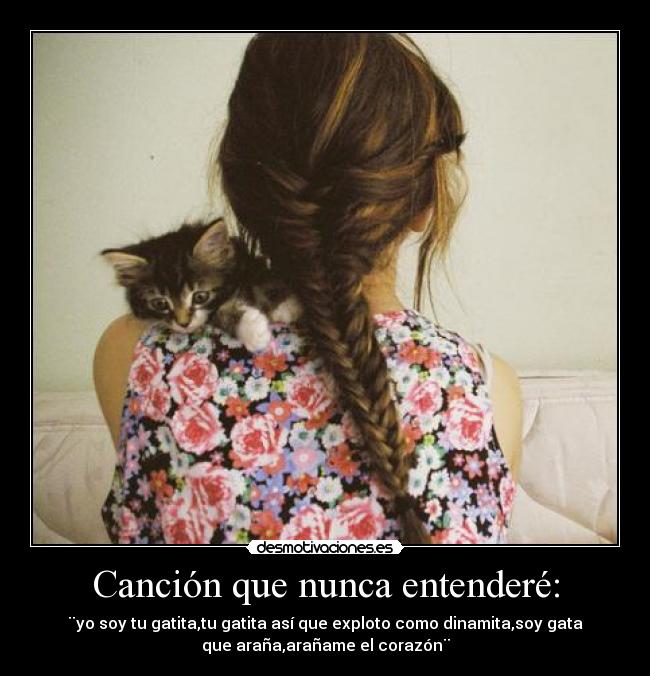 Canción que nunca entenderé: - ¨yo soy tu gatita,tu gatita así que exploto como dinamita,soy gata
que araña,arañame el corazón¨