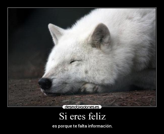 Si eres feliz - 